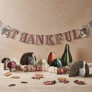 John Derian for Target Fall Paper Decor Pack, Thanksgiving banner garland table